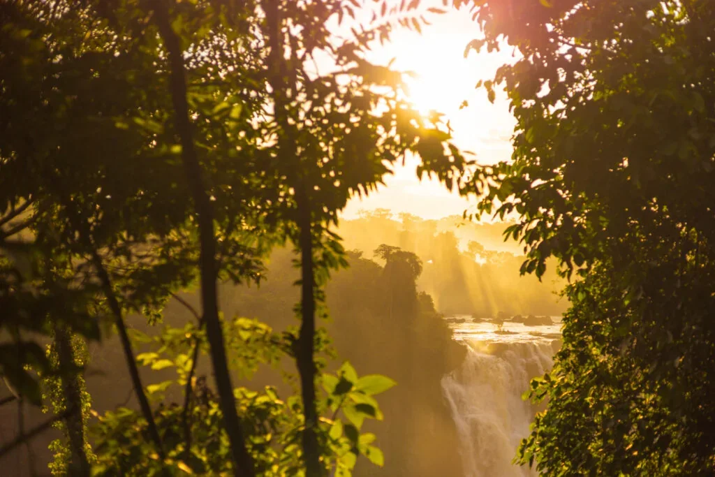 Luz do amanhecer entre árvores junto às Cataratas